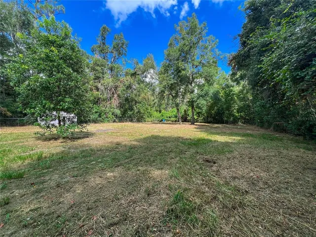 a view of outdoor space with trees all around