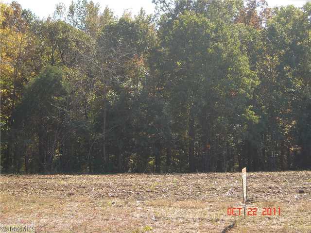 0 Wallburg-High Point Road High Point, NC 27265 - Photo 3 of 9 Land.