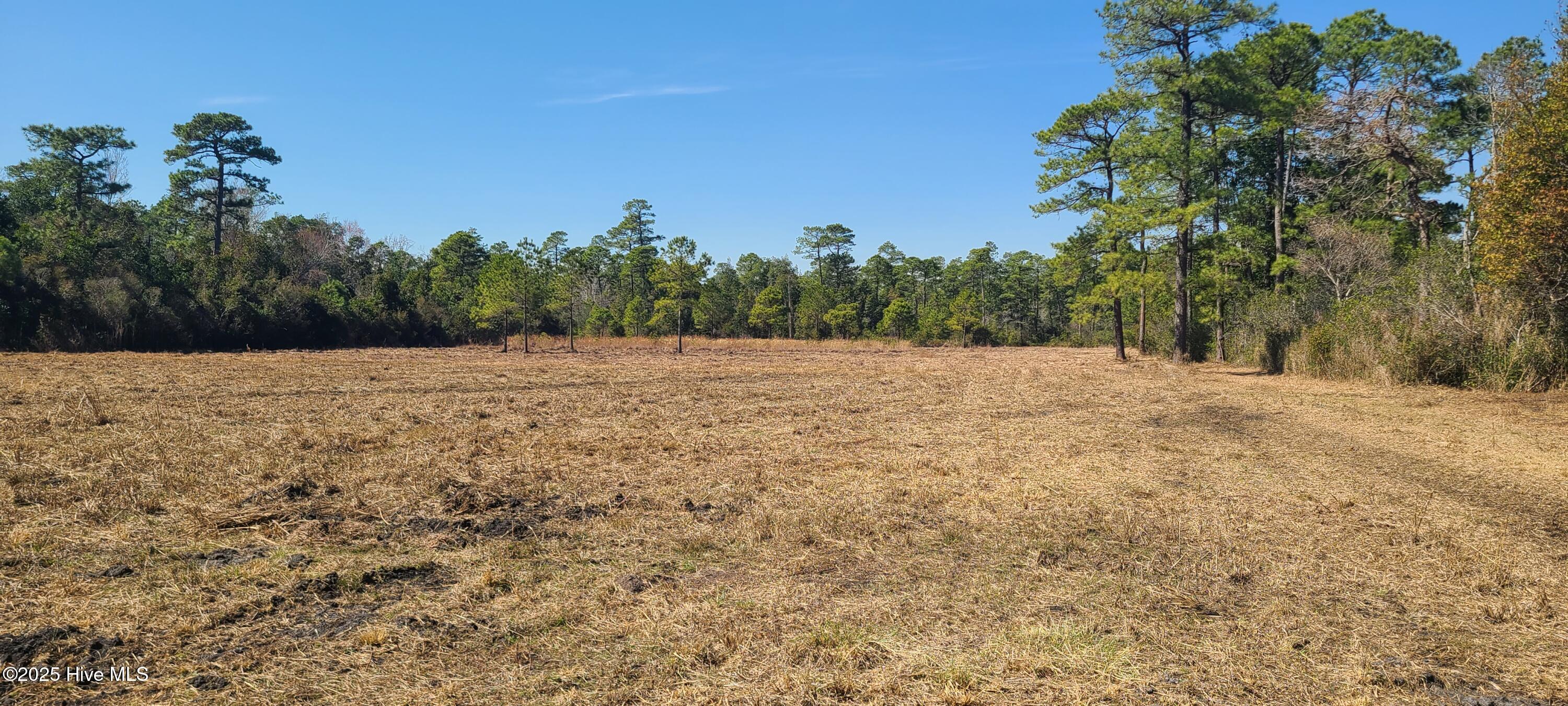 1300 Godwin Road Maple Hill, NC 28454 - Photo 11 of 14 20250301_123847