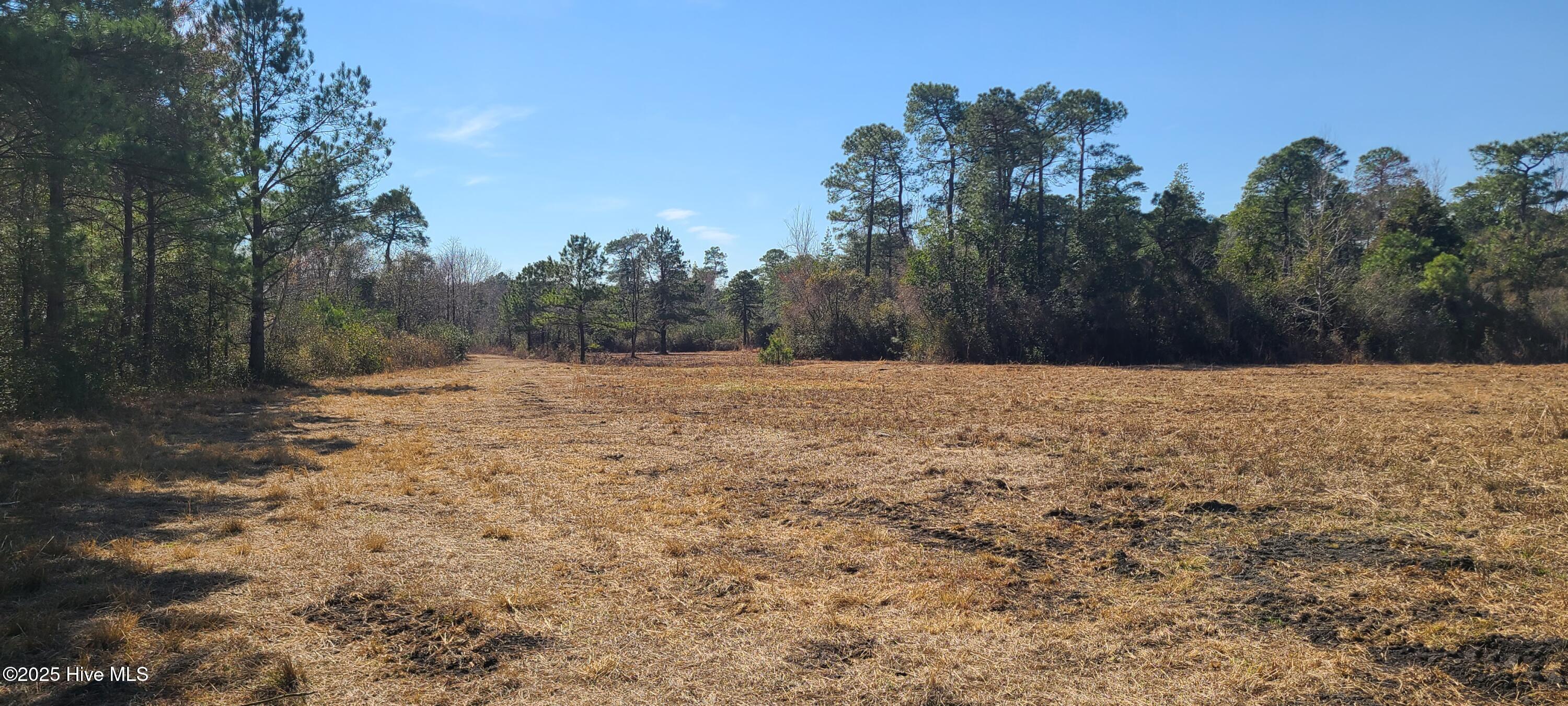 1300 Godwin Road Maple Hill, NC 28454 - Photo 12 of 14 20250301_123851