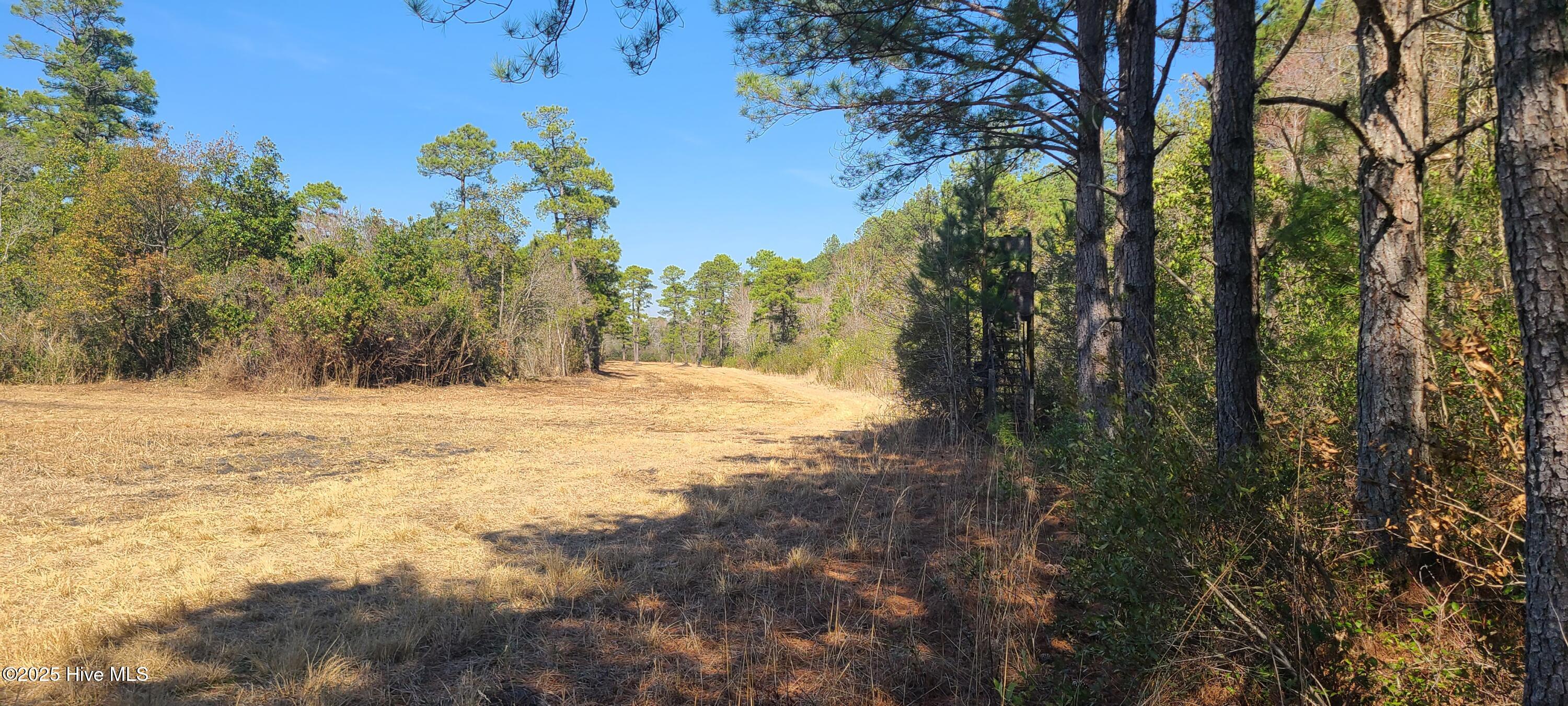 1300 Godwin Road Maple Hill, NC 28454 - Photo 13 of 14 20250301_124010