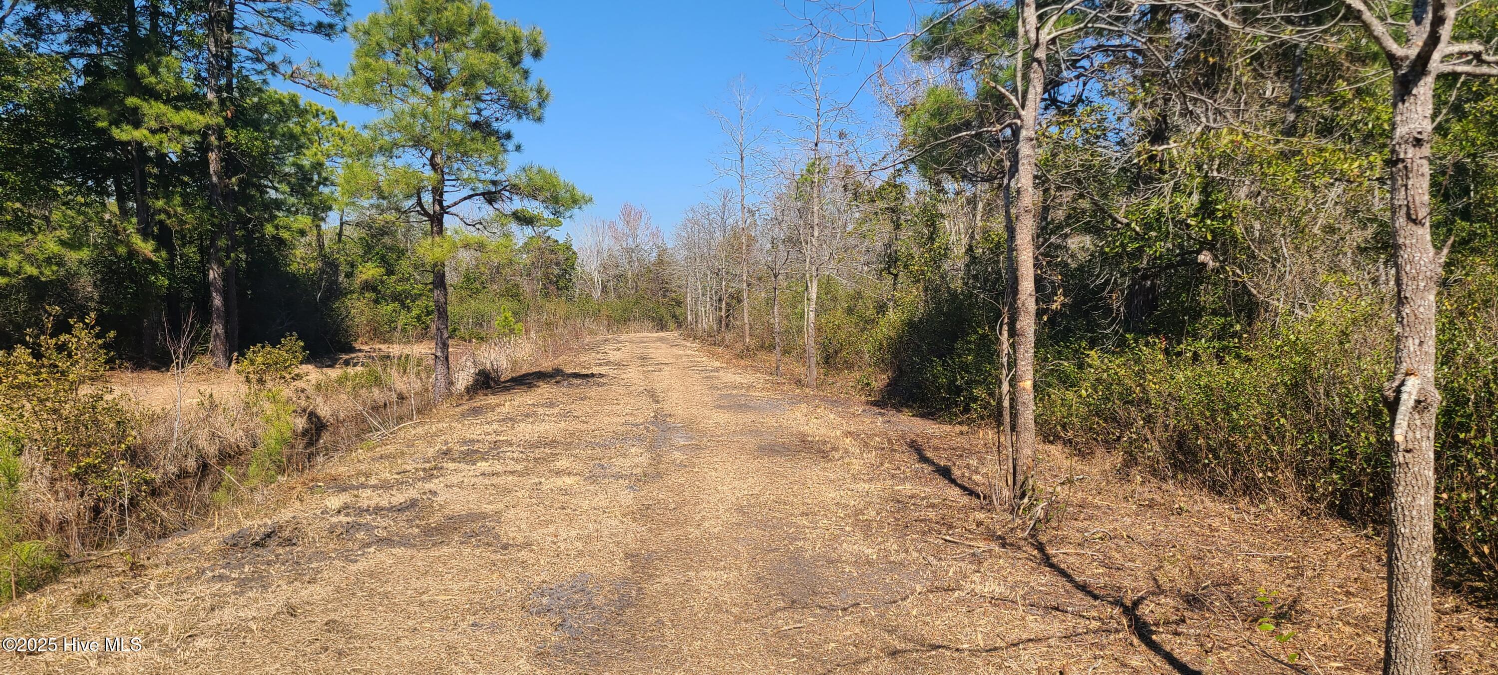 1300 Godwin Road Maple Hill, NC 28454 - Photo 14 of 14 20250301_124238