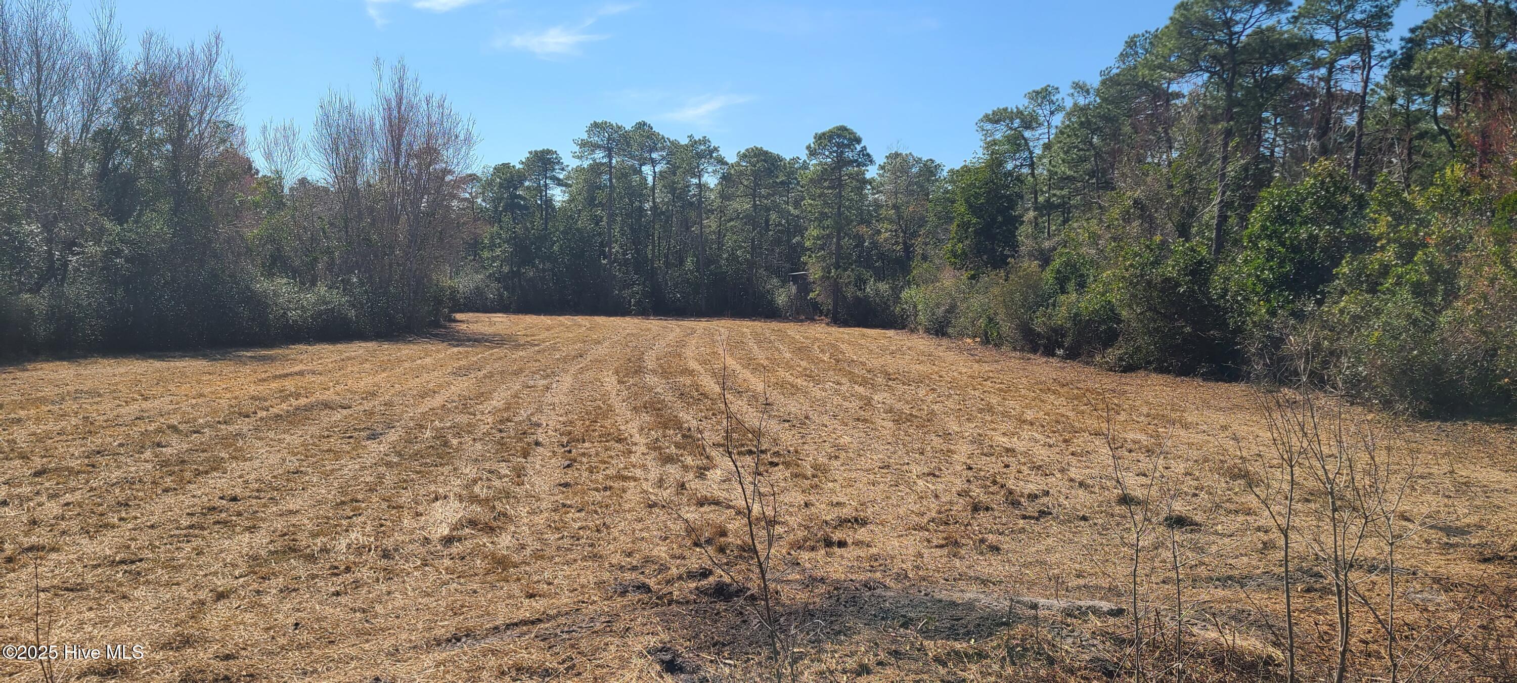 1300 Godwin Road Maple Hill, NC 28454 - Photo 8 of 14 20250301_123424