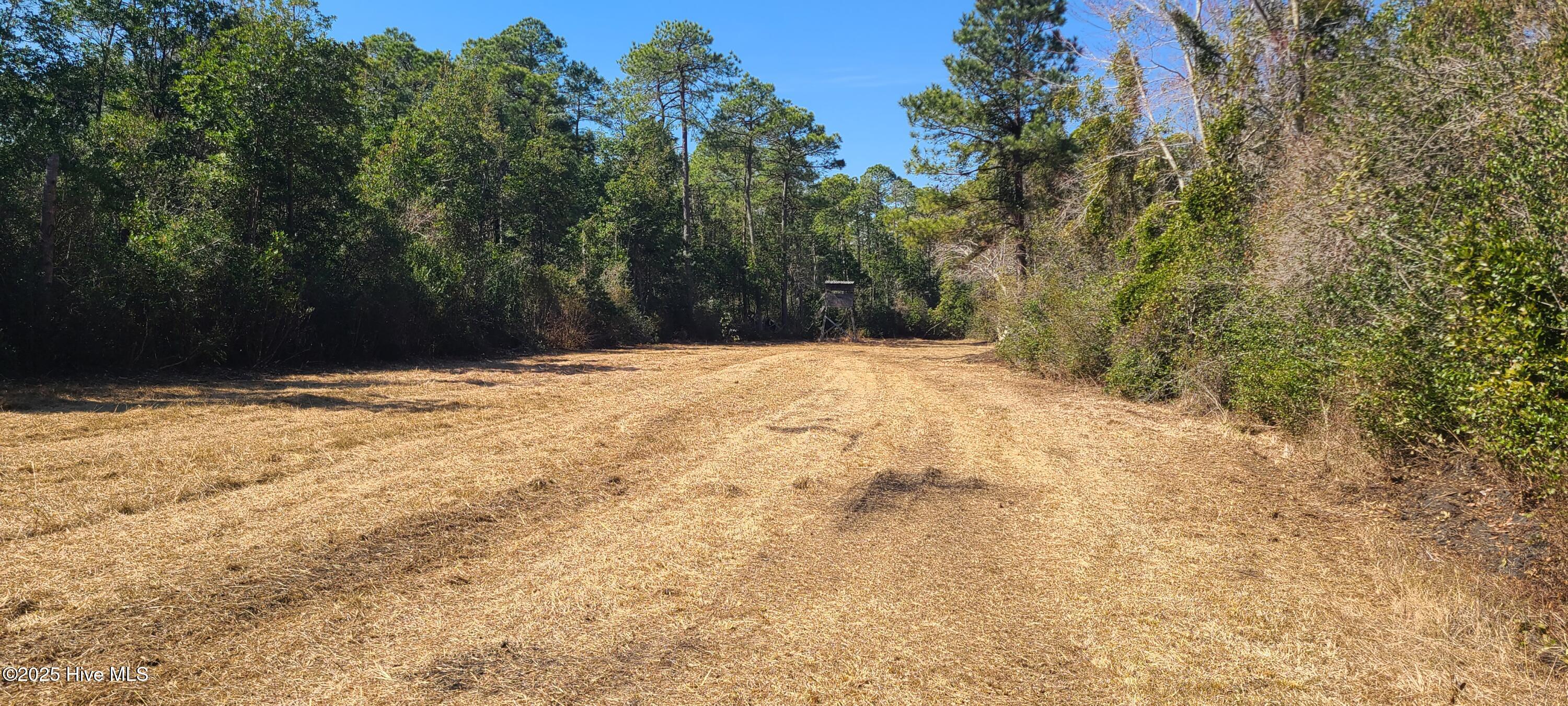 1300 Godwin Road Maple Hill, NC 28454 - Photo 9 of 14 20250301_123646