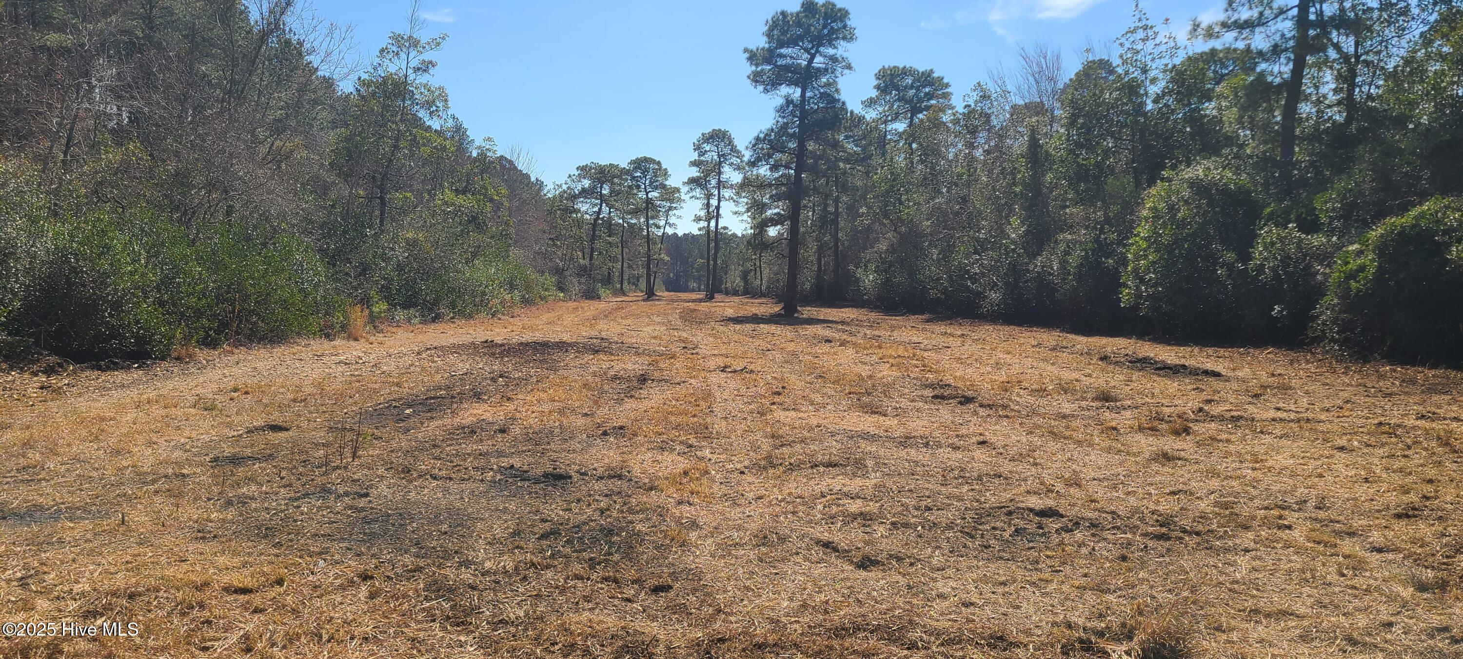 1300 Godwin Road Maple Hill, NC 28454 - Photo 10 of 14 20250301_123655