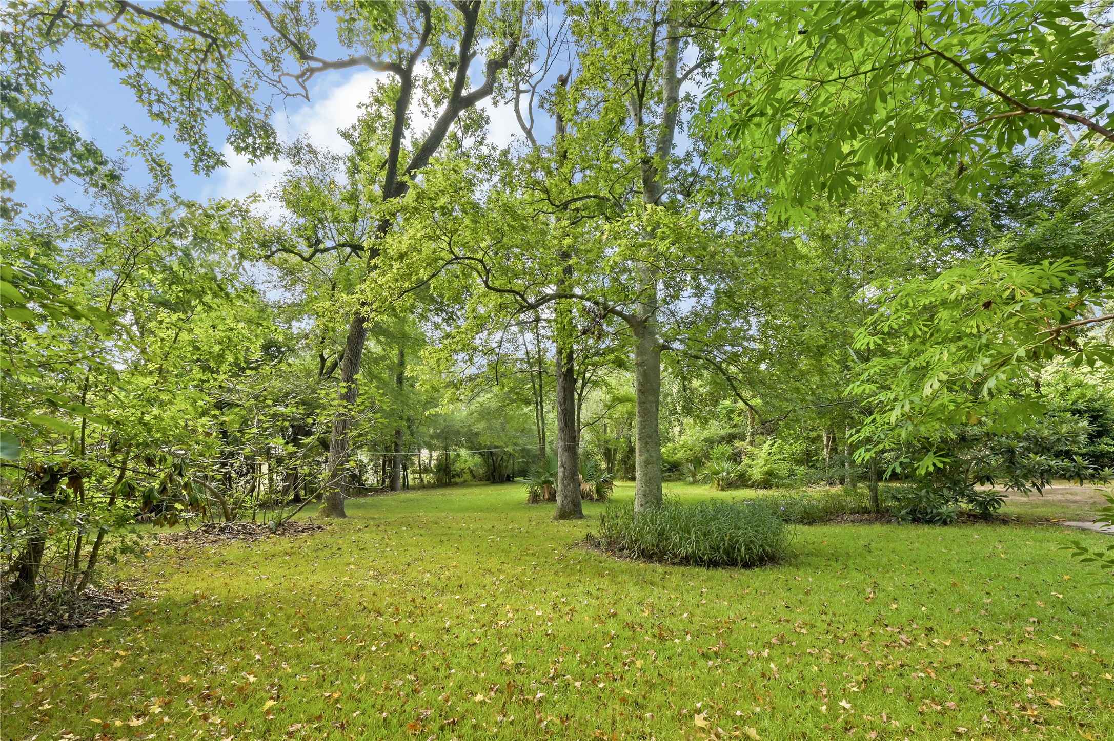 1522 Spring Hills Drive Spring, TX 77386 - Photo 40 of 44 Gallery Image 40