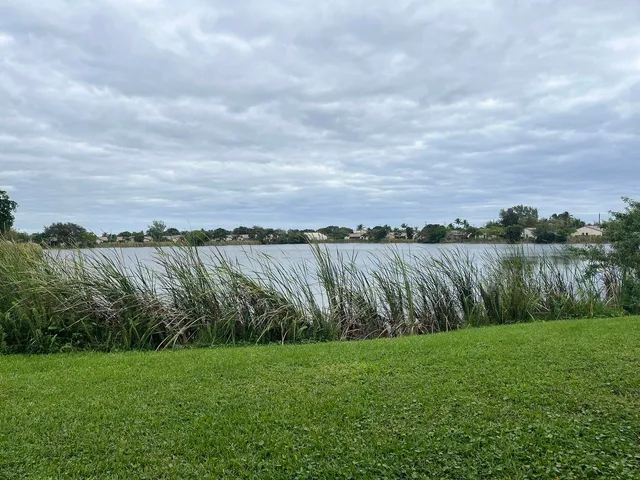 a view of a lake with a big yard and large trees