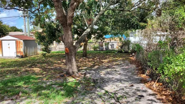 a view of a yard with plants and trees