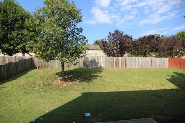 a view of a yard with an tree
