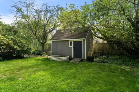 a view of a backyard with plants and large trees
