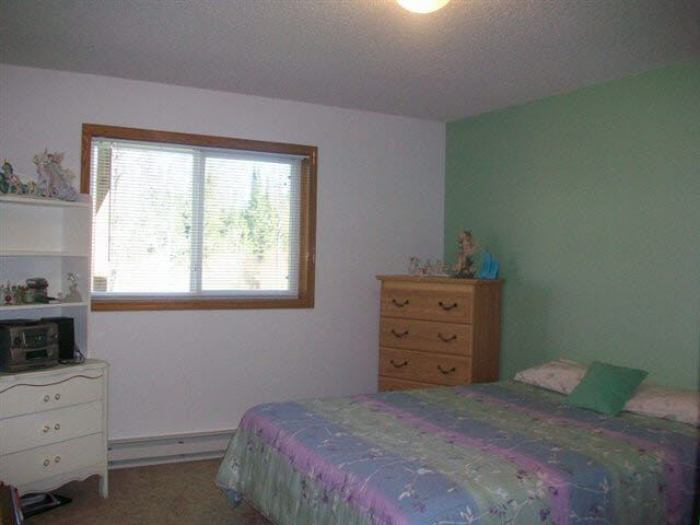35 Riverside Road Esko, MN 55733 - Photo 11 of 17 Gallery Image 11