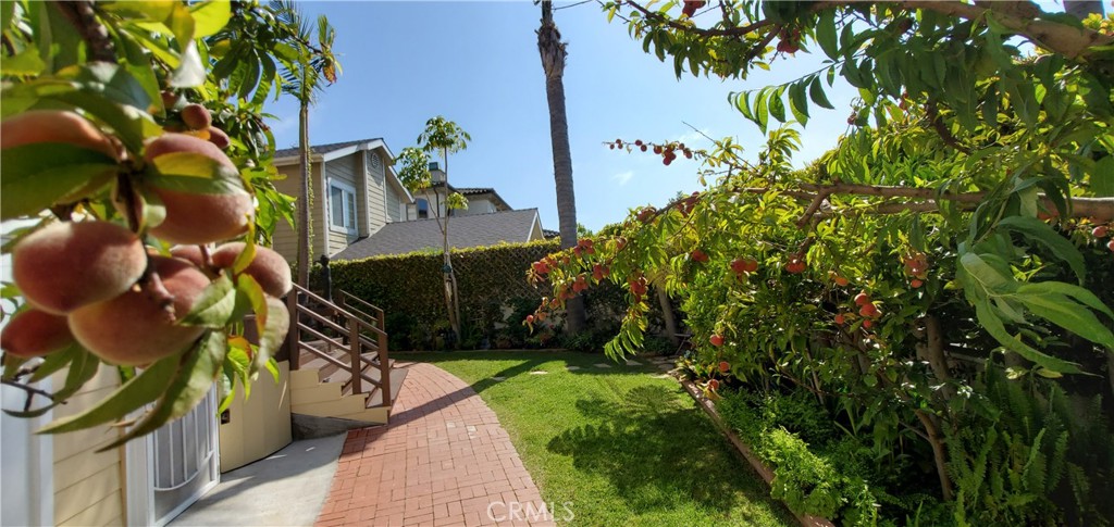 7901 Berger Avenue Playa del Rey, CA 90293 - Photo 47 of 67