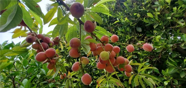 $16,000 | 7901 Berger Avenue, Playa del Rey, CA 90293