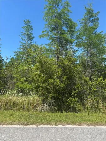 a view of a green yard with an trees