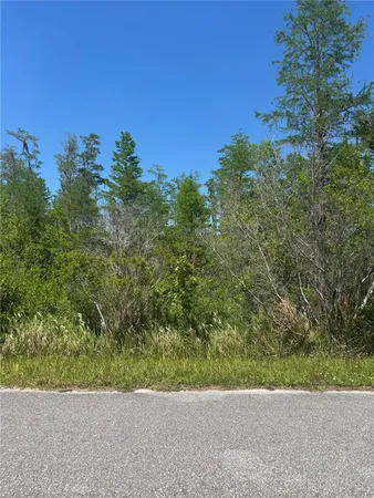 a view of a yard with a tree