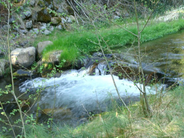 2901 Spring Creek Road McCloud, CA 96057 - Photo 22 of 27 Gorgeous Squaw Creek