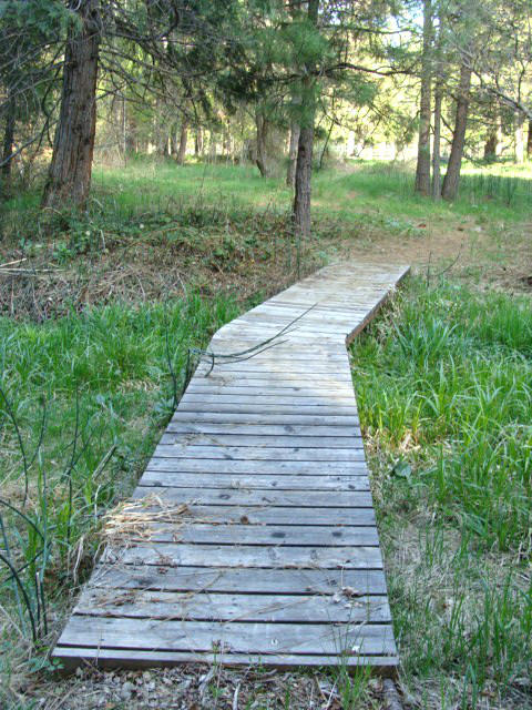2901 Spring Creek Road McCloud, CA 96057 - Photo 24 of 27 One Of The Bridges In The Meadow