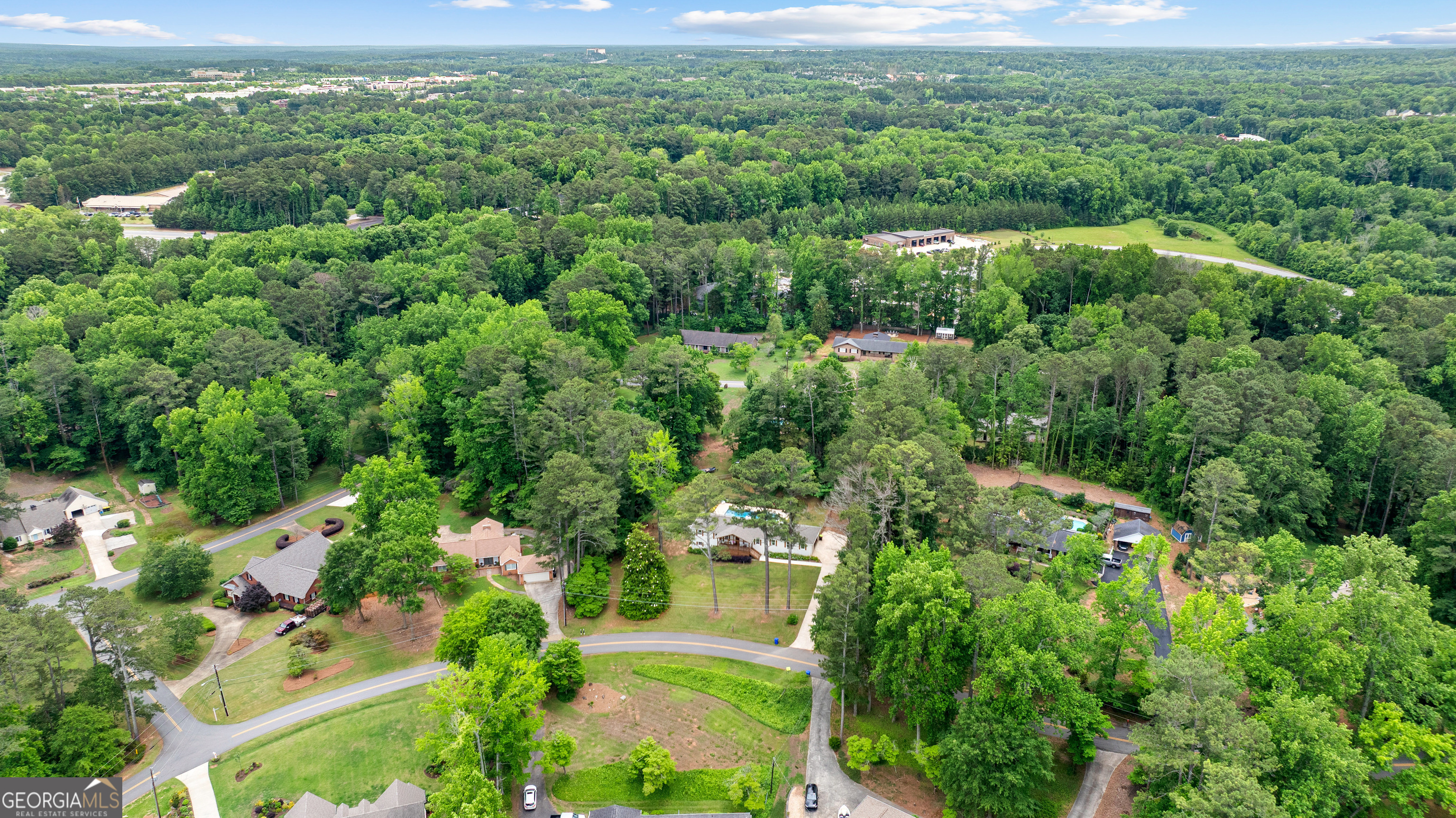 29 Red Bud Trail Newnan, GA 30263 - Photo 10 of 60