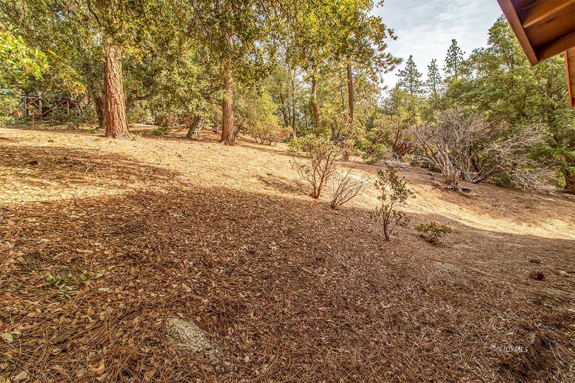 27728 Saunders Meadow Road Idyllwild, CA 92549 - Photo 50 of 57 Untitled