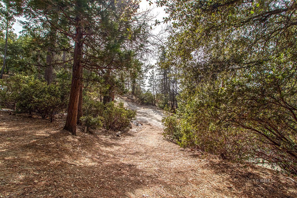 27728 Saunders Meadow Road Idyllwild, CA 92549 - Photo 57 of 57 Untitled