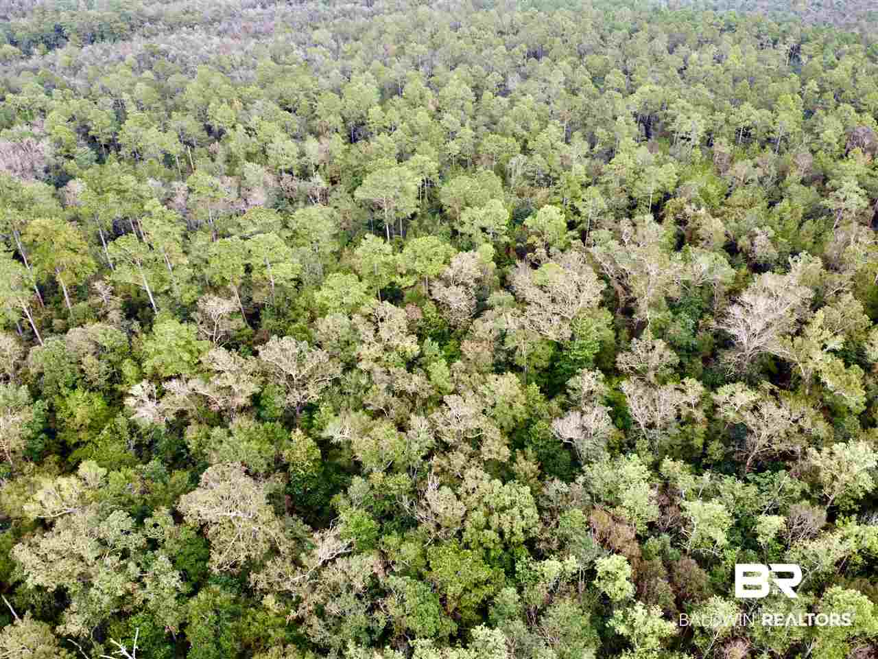 0 Maureen Circle Daphne, AL 36527 - Photo 5 of 26