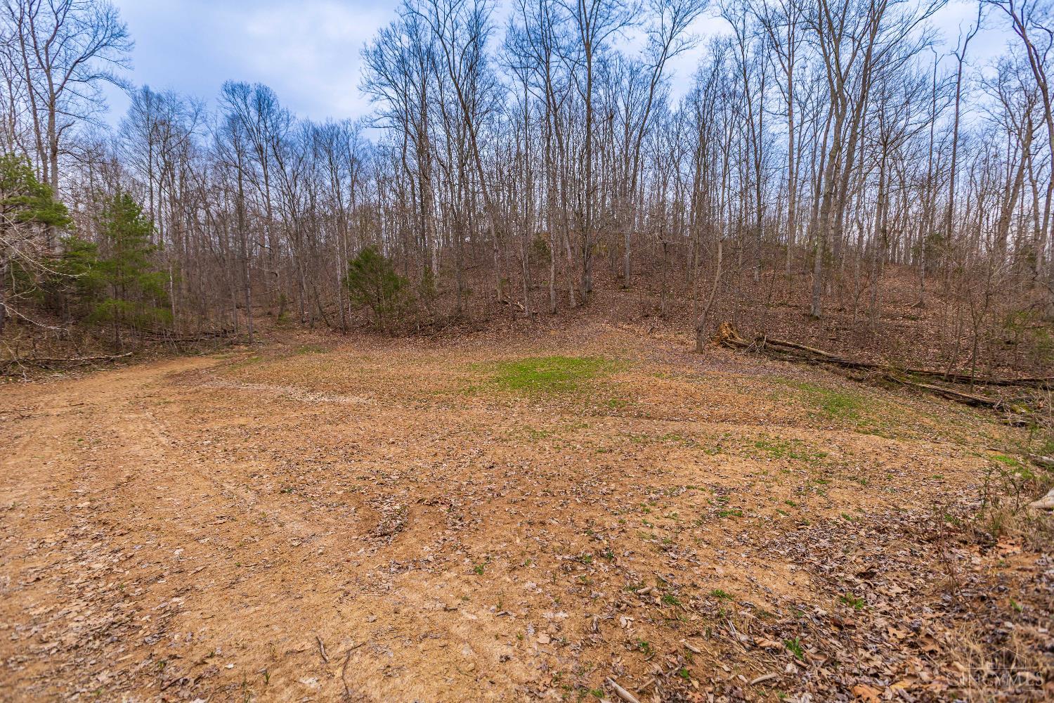 1025 Davis Road Peebles, OH 45660 - Photo 49 of 63