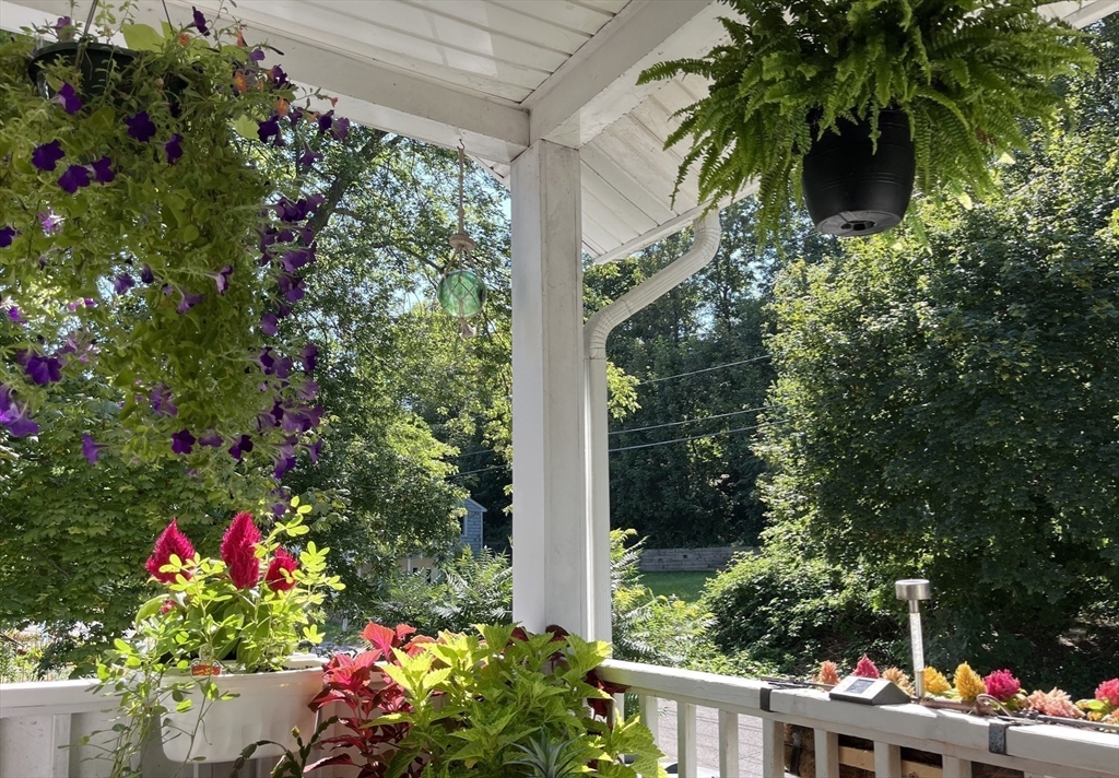 53 Mountford Road Hull, MA 02045 - Photo 28 of 35 a flower plants in front of yellow house