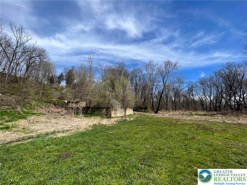 5649 Depues Road Bangor, PA 18013 - Photo 11 of 16 a backyard of a house with lots of green space