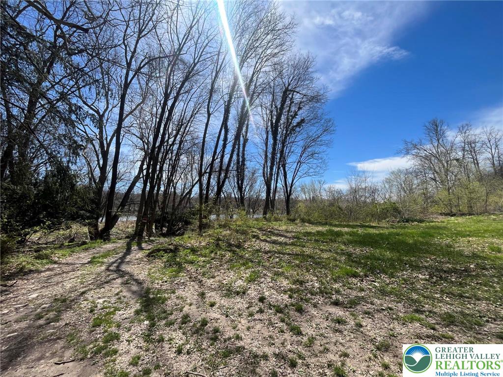 5649 Depues Road Bangor, PA 18013 - Photo 13 of 16 a view of outdoor space with trees
