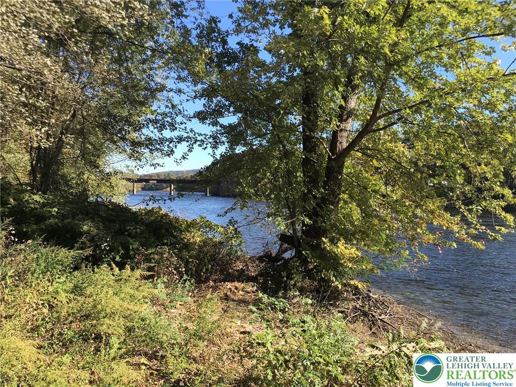 5649 Depues Road Bangor, PA 18013 - Photo 15 of 16 a view of a yard with plants and large trees