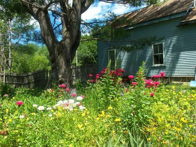 560 Kirkland Road Old Town, ME 04468 - Photo 1 of 11 Back Yard.