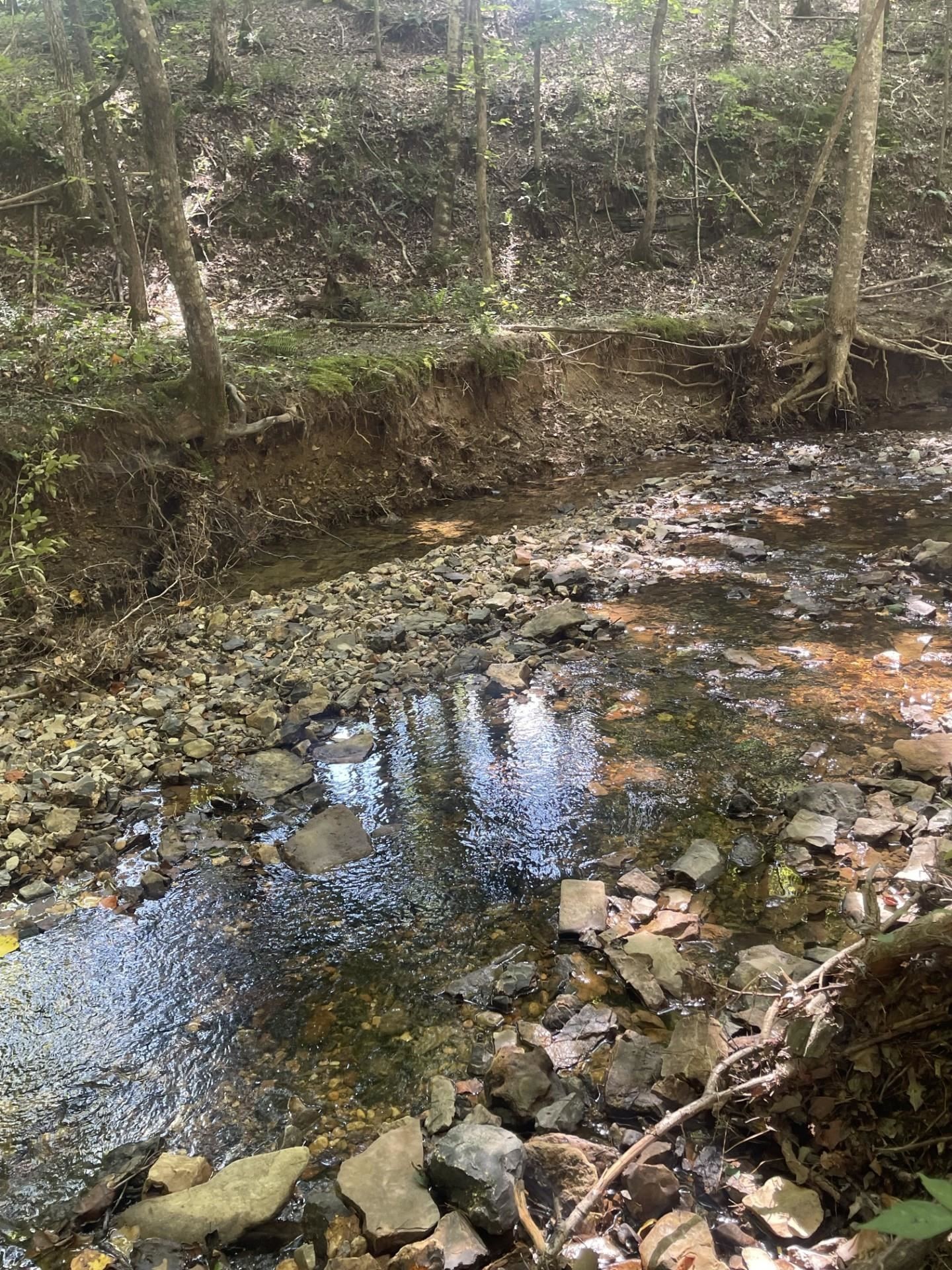 230 Adley Way Counce, TN 38326 - Photo 31 of 32