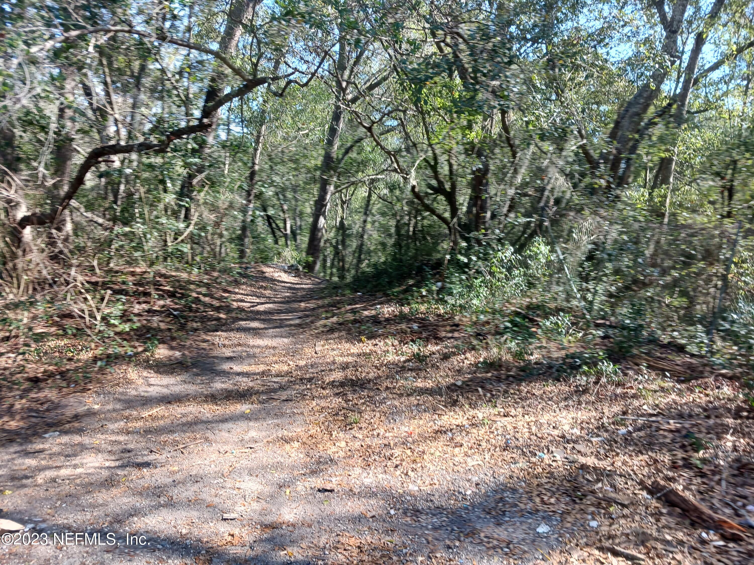 0 Hilly Road Jacksonville, FL 32208 - Photo 2 of 3 20230119_123626