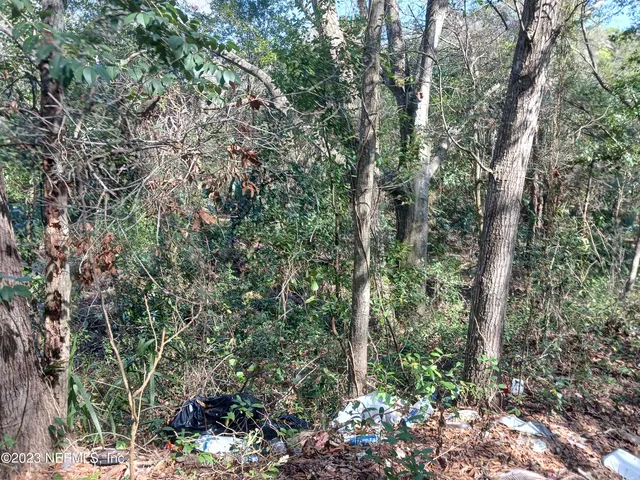 $15,000 | 0 Hilly Road, Jacksonville, FL 32208