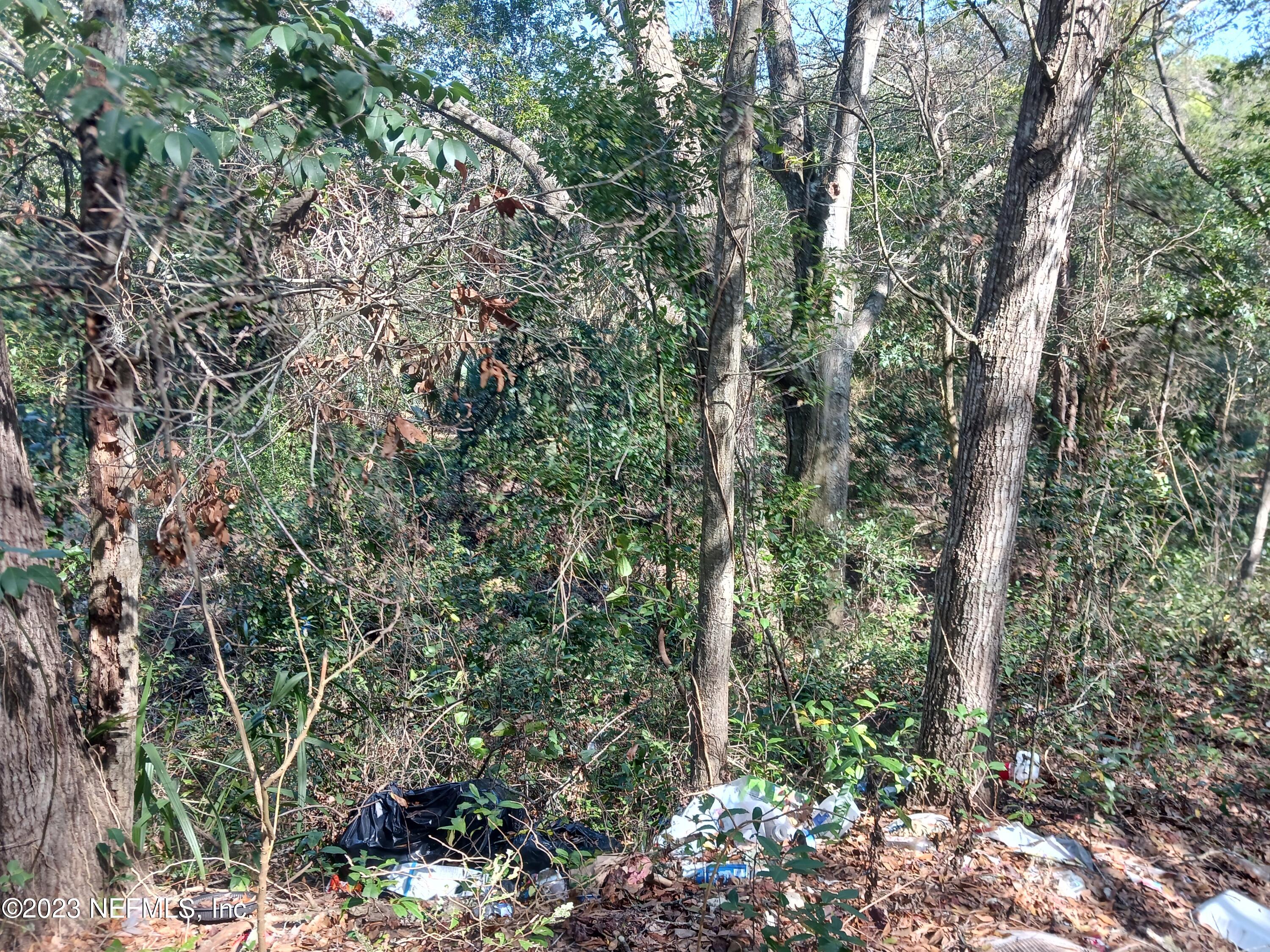 0 Hilly Road Jacksonville, FL 32208 - Photo 3 of 3 20230119_123611