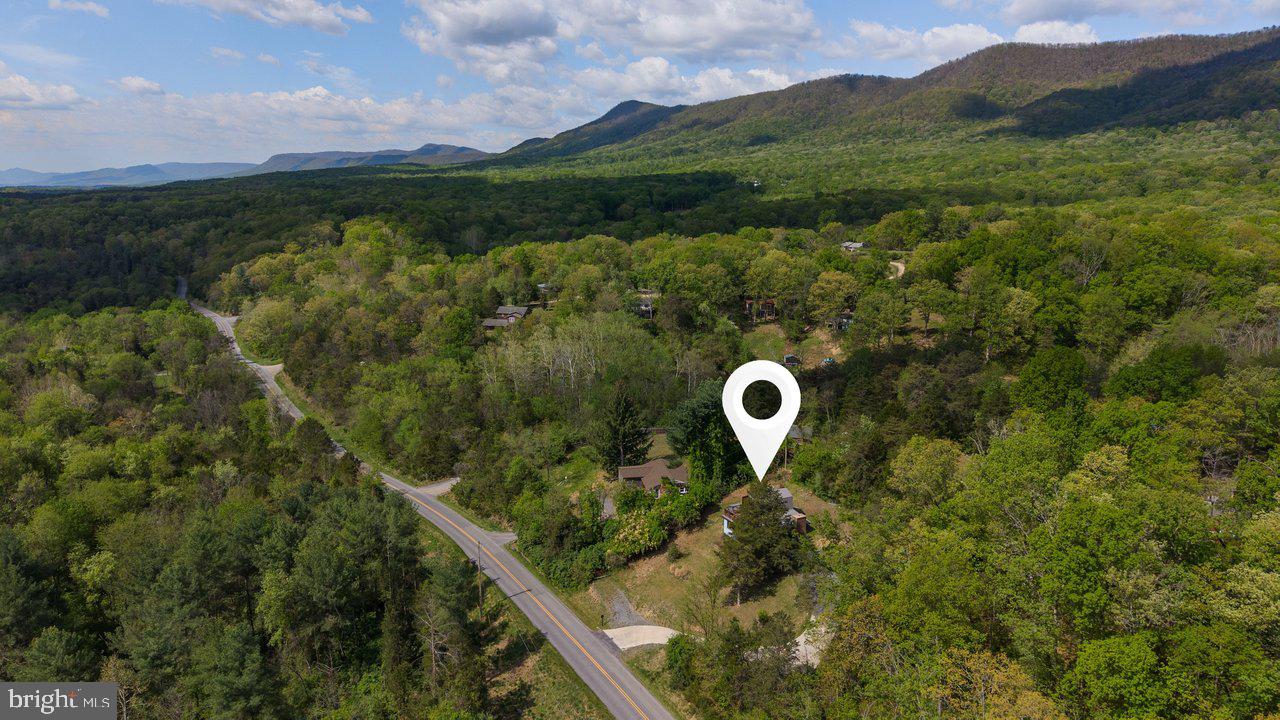6261 South Page Valley Road Luray, VA 22835 - Photo 52 of 55 a view of a forest