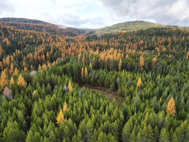 $120,000 | Tbd Schlegel Rnch Road, Ione, WA 99139