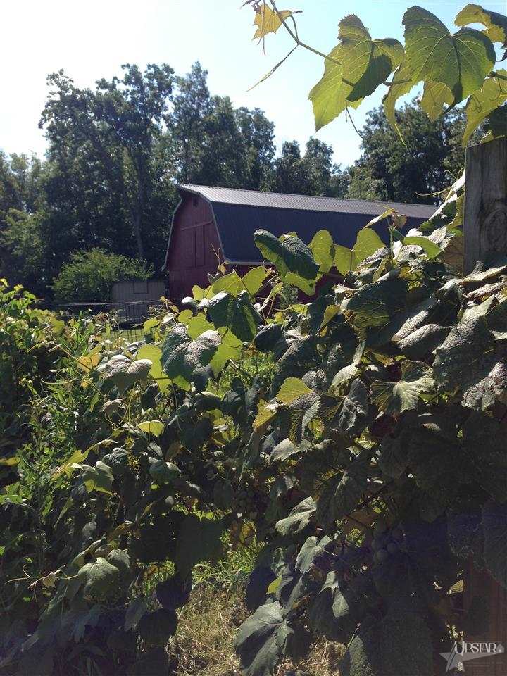 17720 Rupert Road Spencerville, IN 46788 - Photo 13 of 30
