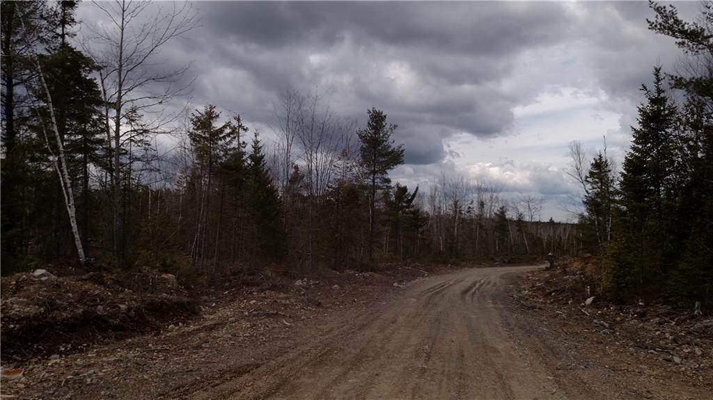 0 Old County Road Pembroke, ME 04666 - Photo 6 of 6 Photo
