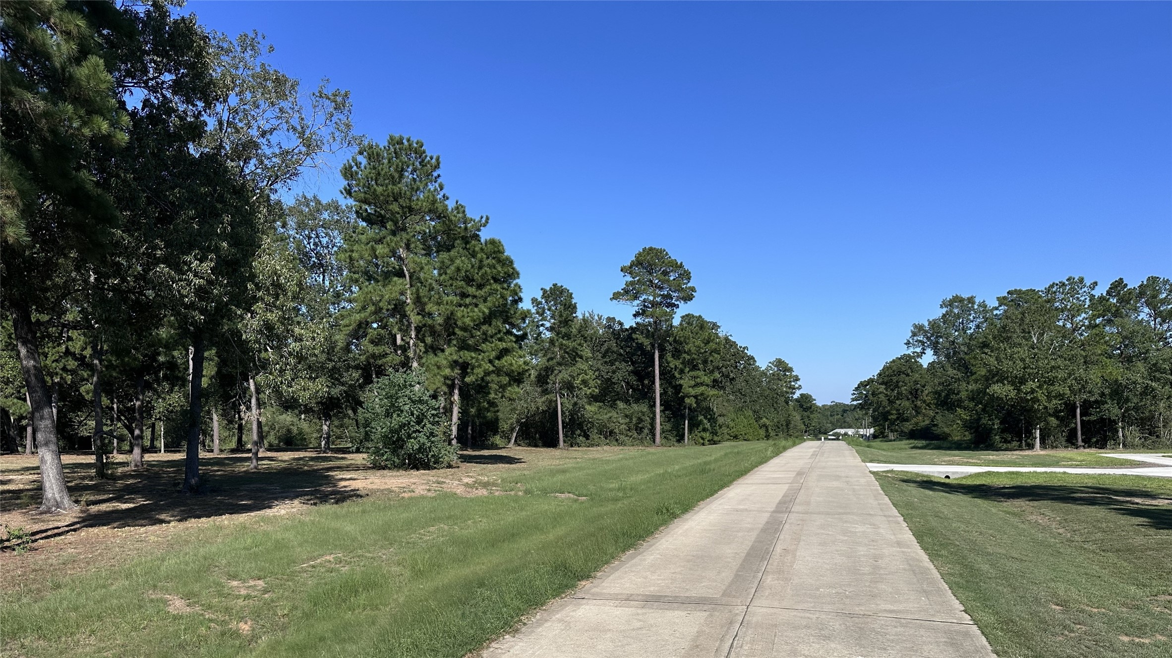 5.3-ac Tbd Spring Branch Road Montgomery, TX 77316 - Photo 8 of 32 Gallery Image 8