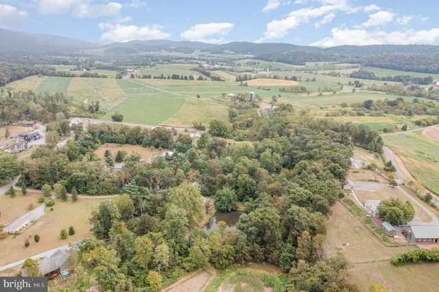 a view of a lake with a yard and large trees