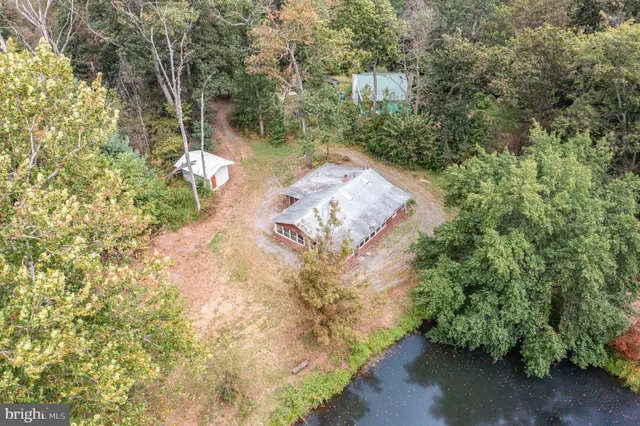 a backyard of a house with large trees and barbeque oven