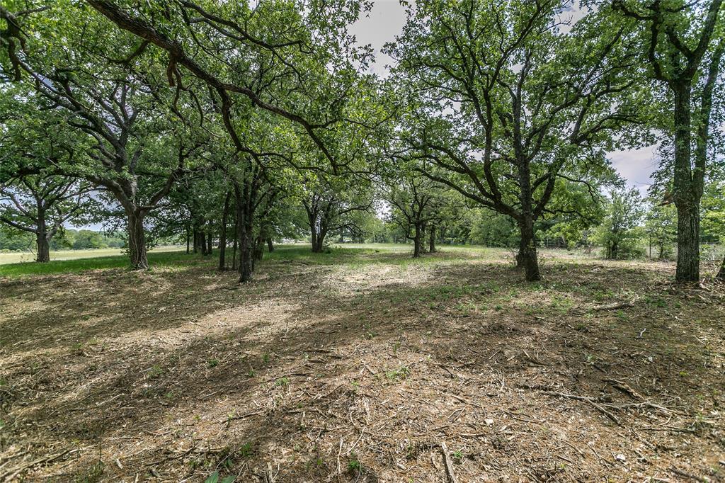 Tbd County Road 4599 Boyd, TX 76023 - Photo 1 of 1 a view of outdoor space with trees