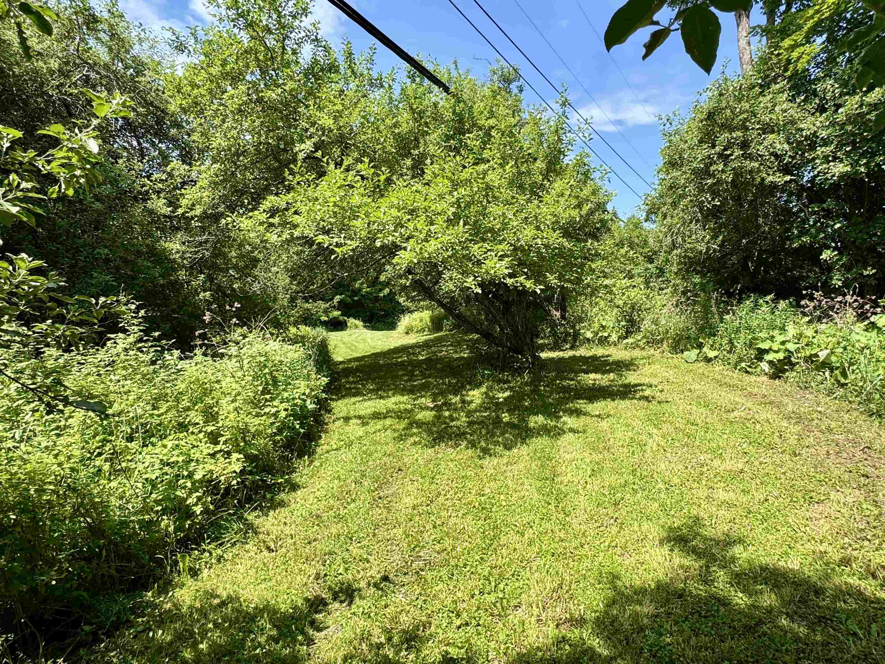 53 Sugarhouse Road Burke, VT 05871 - Photo 41 of 44