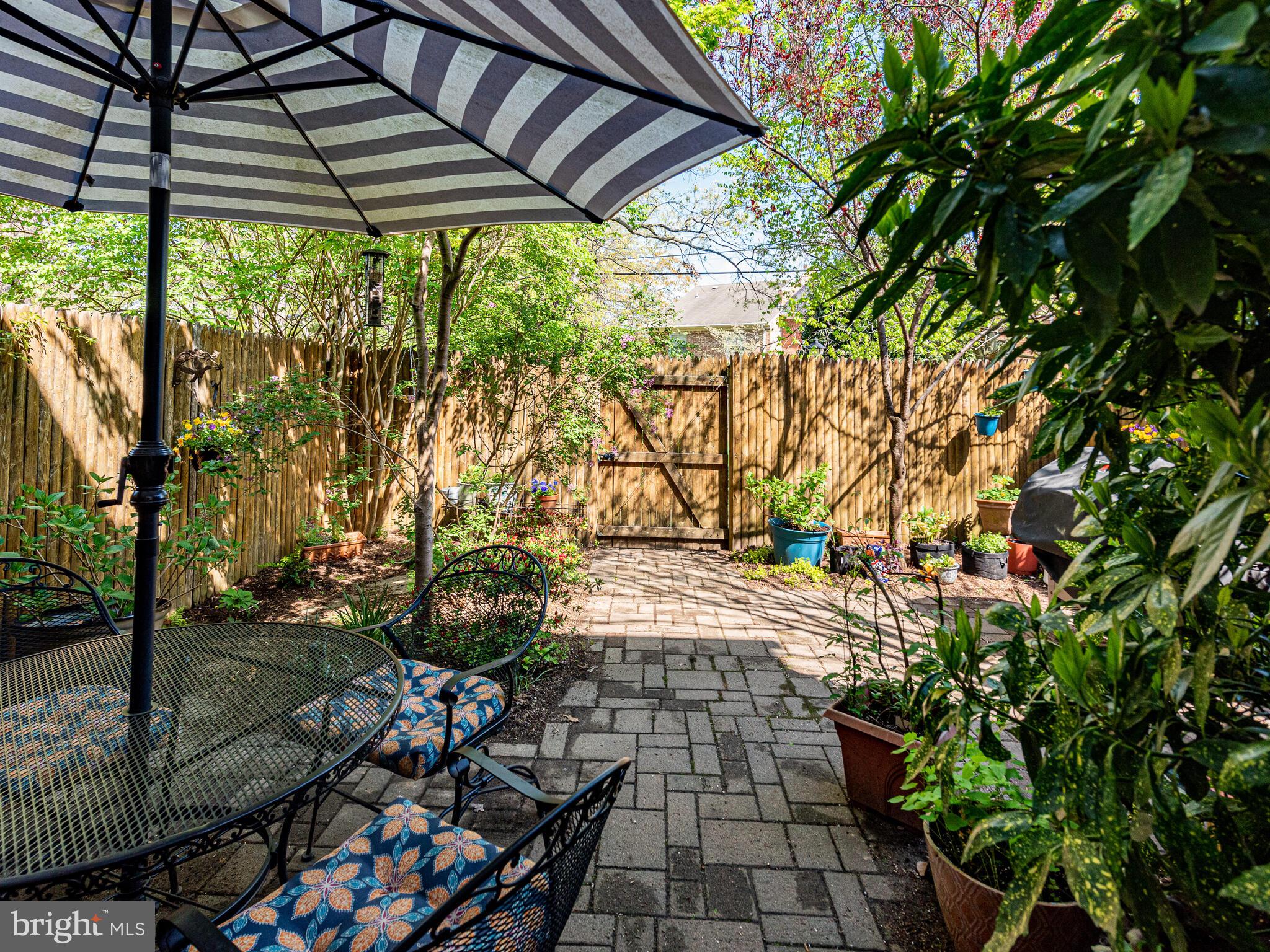 5271 Bradgen Court Springfield, VA 22151 - Photo 43 of 47 Surprisingly large space filled with plantings