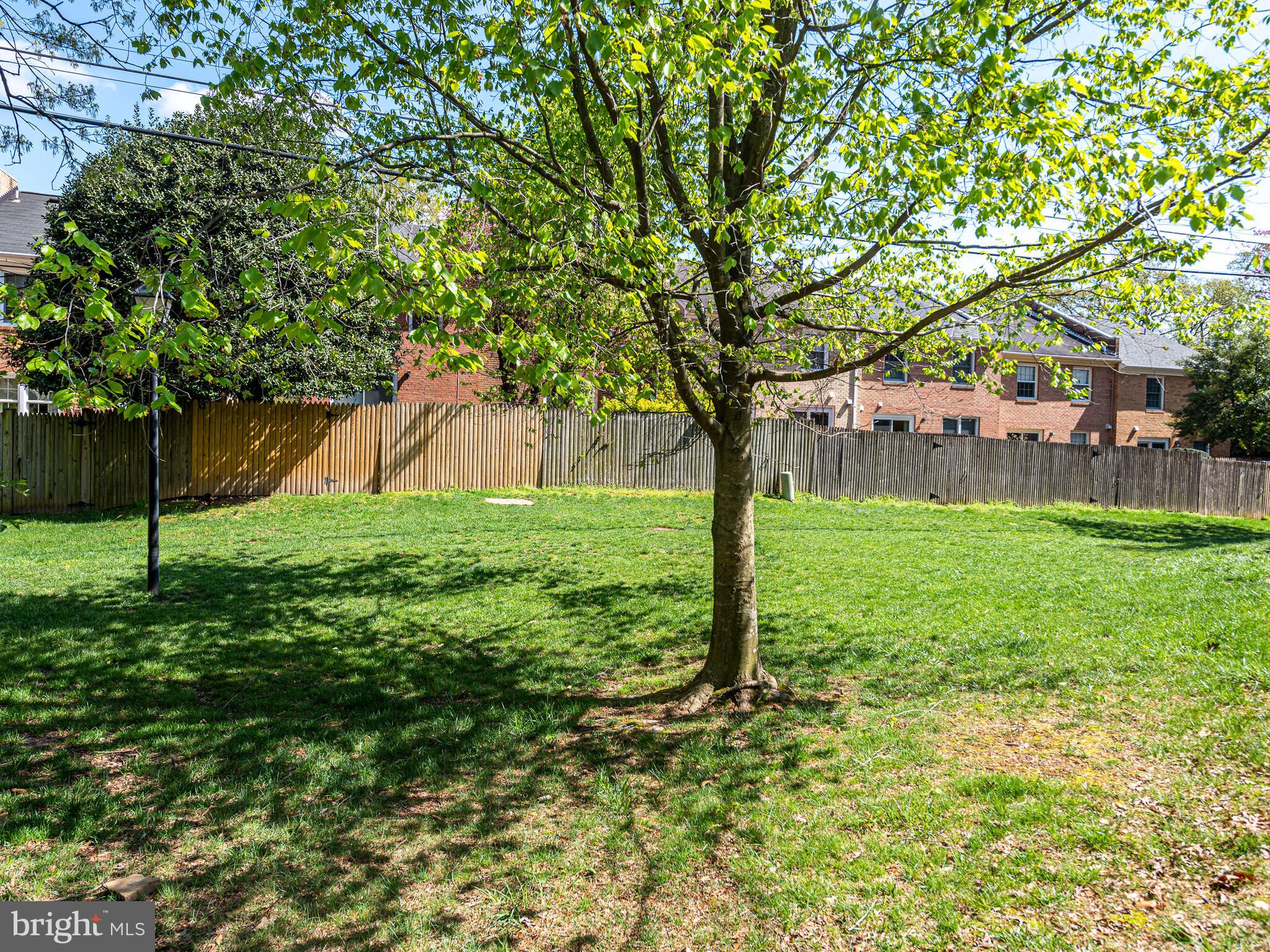 5271 Bradgen Court Springfield, VA 22151 - Photo 44 of 47 Behind the home is a beautiful, open Common Area