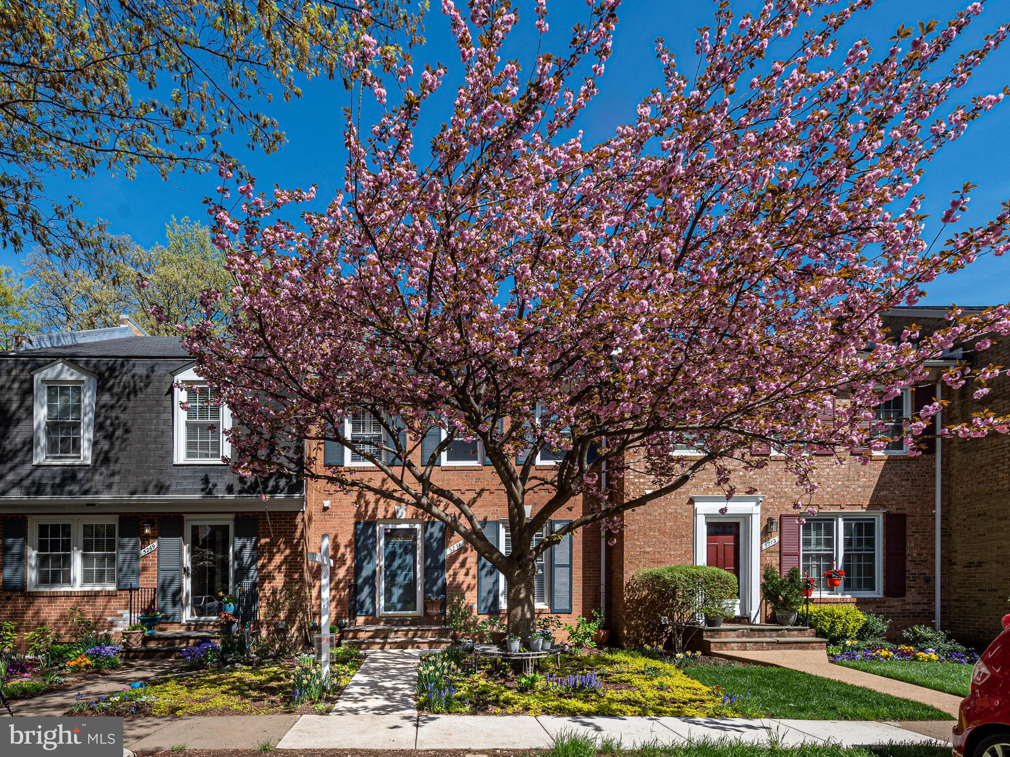 5271 Bradgen Court Springfield, VA 22151 - Photo 46 of 47 One more look at that magnificent tree out front!