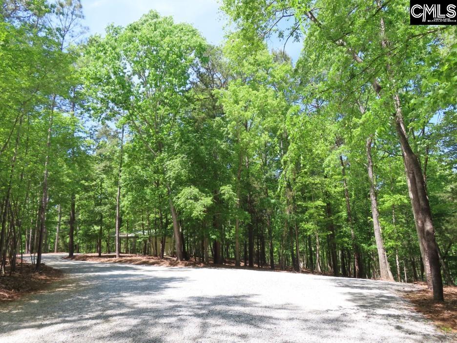 201 State Rd S-20-99 Blair, SC 29015 - Photo 42 of 61