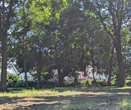 $3,500 | 707 Seymour Avenue, Jackson, MI 49202