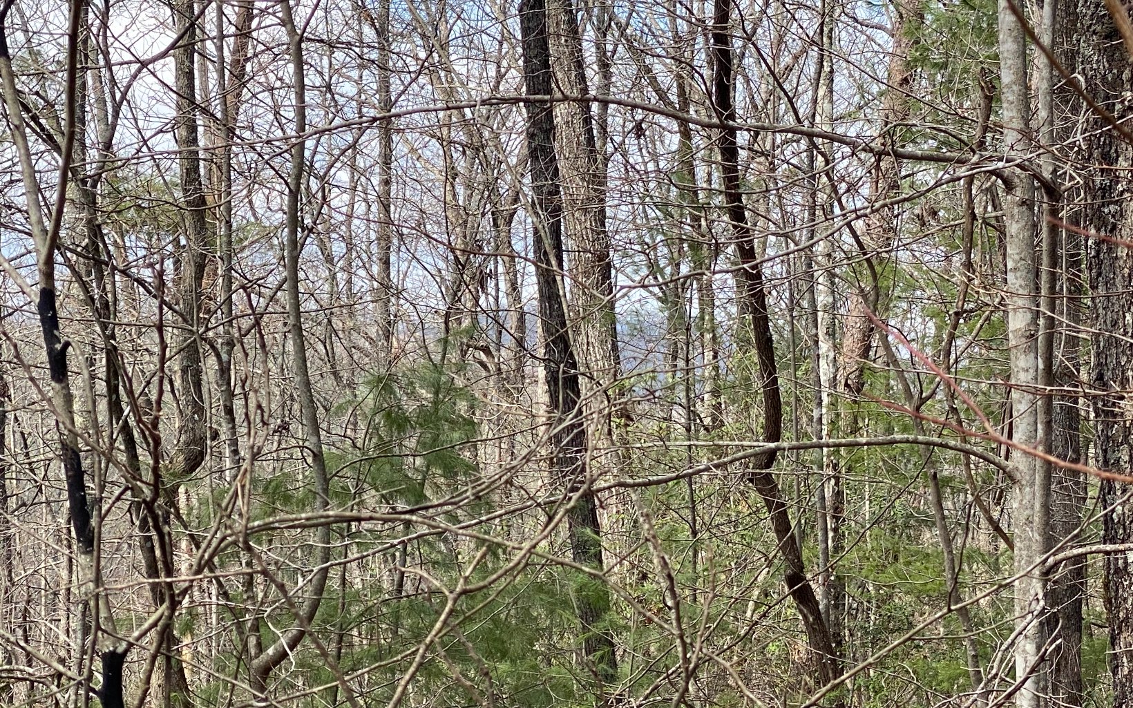 Lot2 Cohutta Overlook Drive Blue Ridge, GA 30513 - Photo 2 of 4 Additional View